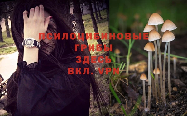 индика Бабаево