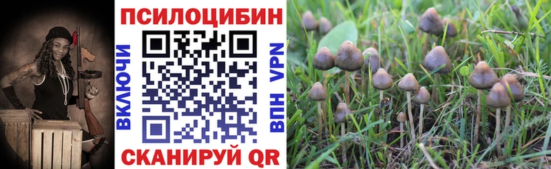 магазин продажи Макарьев мега ССЫЛКА Галлюциногенные грибы Psilocybine cubensis